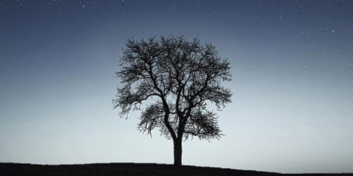 1080x1920 Deep Reflection Phone Wallpaper Lockscreen HD 4K Android iOS