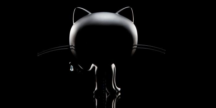 1900x1267 The Octocat—a nerdy household name