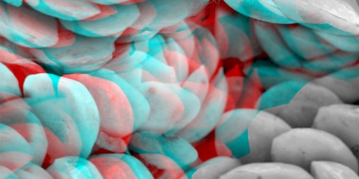 960x1309 Deep 3D Wallpapers