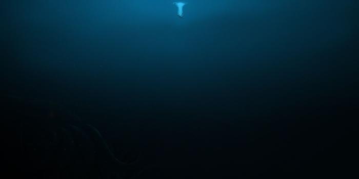 1920x1200 66+ Under Ocean Wallpapers on WallpaperPlay