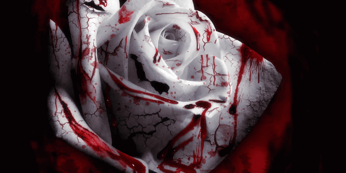 1920x1536 78 Blood HD Wallpapers | Background Images