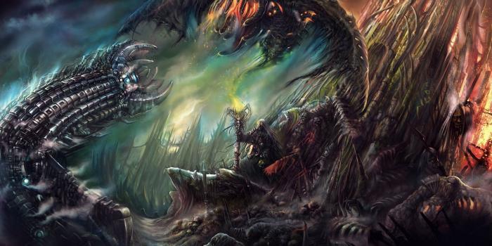 1920x1200 50 Beast HD Wallpapers | Background Images