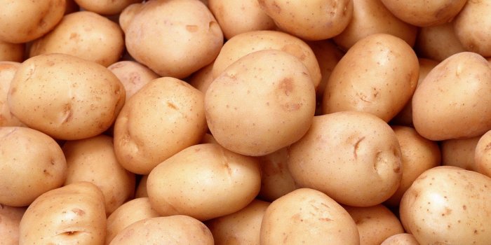 1920x1200 Potato Wallpapers
