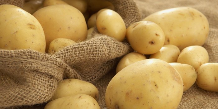1920x1200 30 Potato HD Wallpapers | Background Images