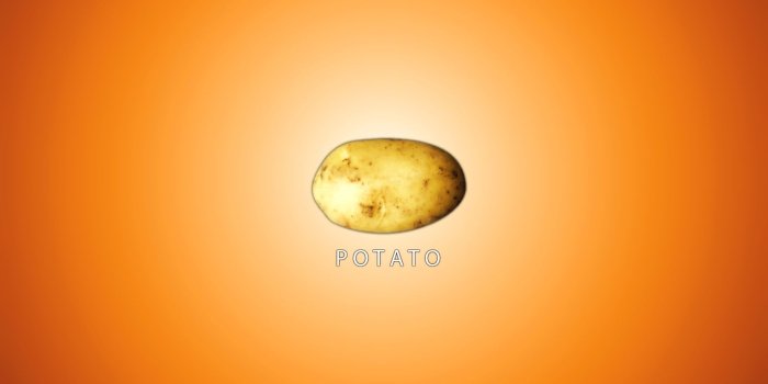 1920x1080 potato [1920x1080] [x-post /r/potato] : wallpaper