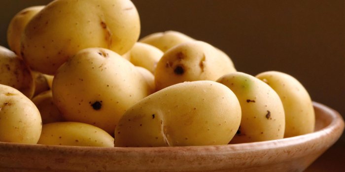 2560x1440 Potato Wallpaper 7 - 2560 X 1440