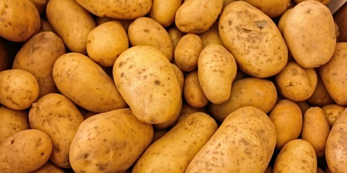 5472x3648 assorted brown potatoes free image | Peakpx