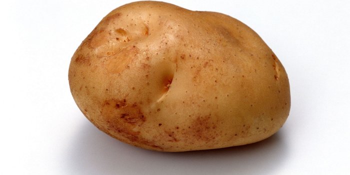 1920x1200 Food Potato HD Wallpaper