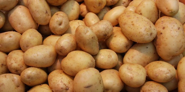 1920x1200 Potato Wallpaper 21 - 1936 X 1288