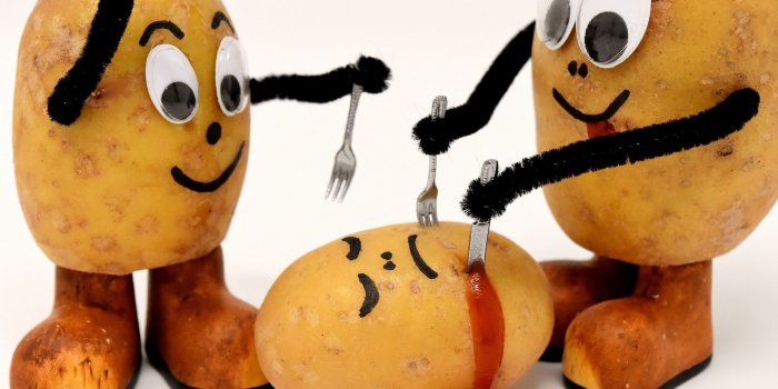 1920x1377 Potato Wallpapers