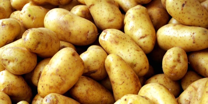 1600x1200 Potato Wallpapers
