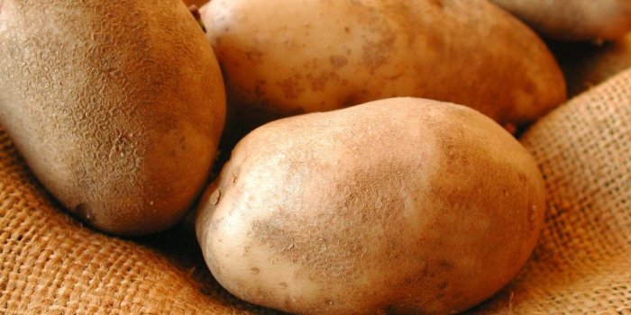 1024x768 Potato Wallpaper 6 - 1024 X 768