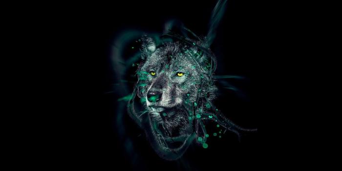 1332x850 Wallpaper animal, wolf, predator, beast, wolf, 1920x1200 images for