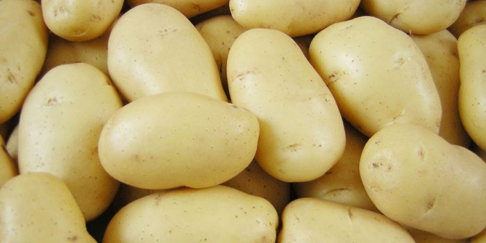 1920x1080 Potato Wallpaper 17 - 1920 X 1080