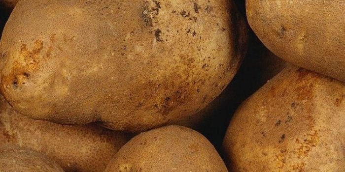 750x1334 Potato Wallpapers