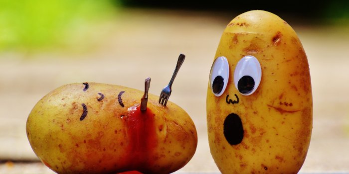 5955x3704 Two brown decorative potatoes HD wallpaper | Wallpaper Flare