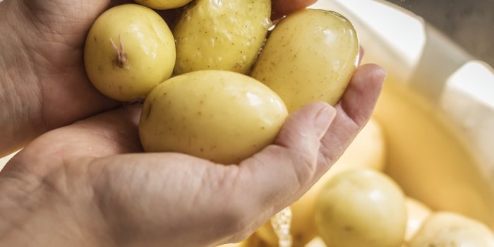 4175x4045 Close-Up Photo Of Person Washing Potatoes - Free Stock Photo, Image
