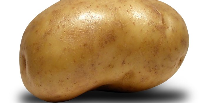 1707x1280 Potato High Quality Wallpaper #948568