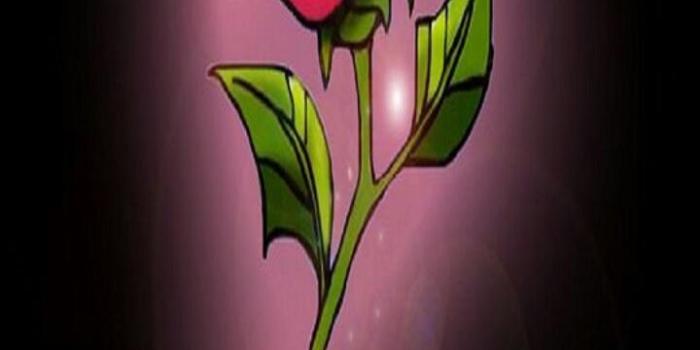 720x1280 HD Beauty Beast Wallpaper for Android - APK Download