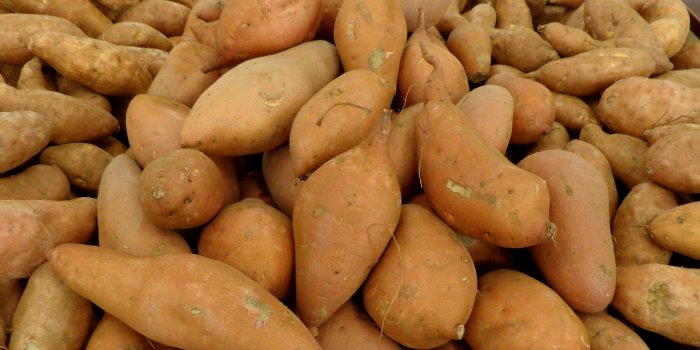 4000x3000 Sweet Potato Wallpapers High Quality | Download Free