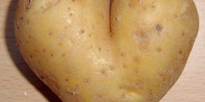 1098x960 Potato wallpapers Gallery