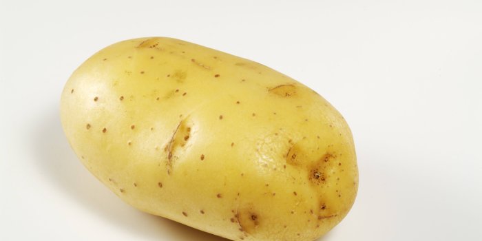 5011x3353 Sweet potato HD wallpaper | Wallpaper Flare