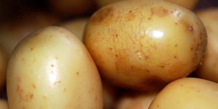 1920x1080 Potato Wallpaper Hd (45+ images) on Genchi.info