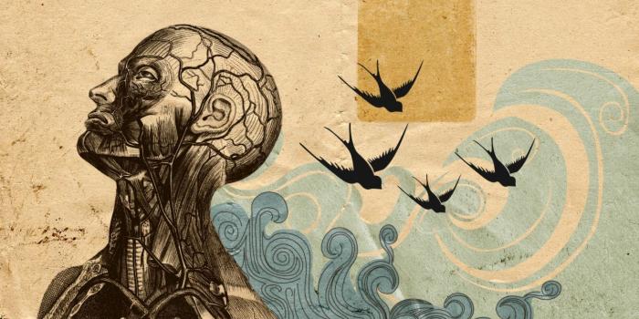 1440x900 Anatomy Wallpapers in 2019 | TO COOL | Anatomy art, Artistic