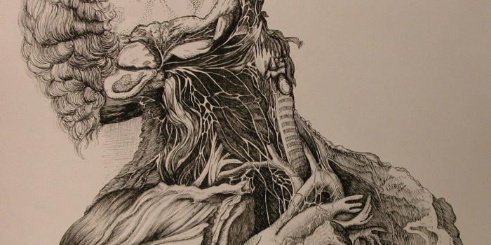 2560x1440 Human Anatomy Wallpapers