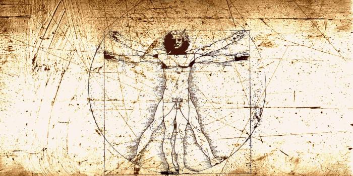 1920x1080 Human Anatomy Wallpapers