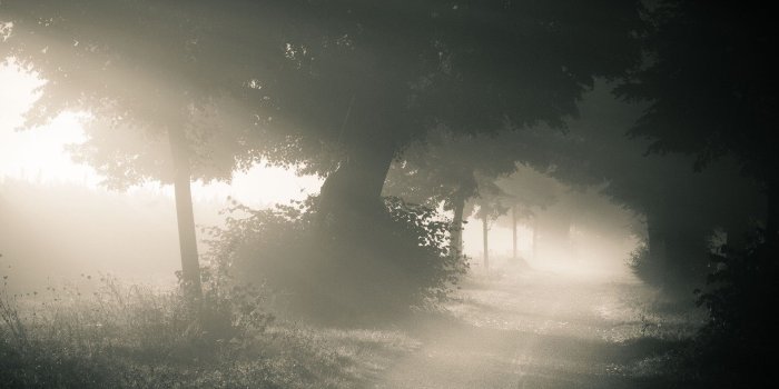 1920x1080 Fog Wallpapers