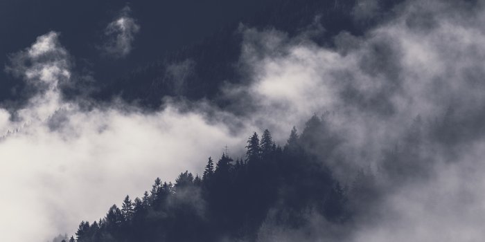 3648x5472 Photo Of Mountain Covered With Fog · Free Stock Photo