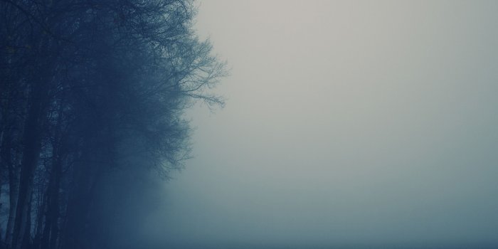2560x1440 Fog Wallpaper | 2560x1440 | ID:48070
