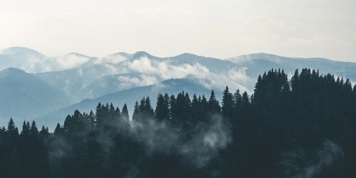 1600x960 Mountains, Clouds, Forest, Fog, HD City Wallpapers, Places
