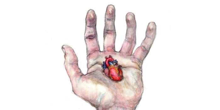 1280x800 1493394 HQ Definition Wallpaper Desktop anatomy | Artistic | Tokkoro