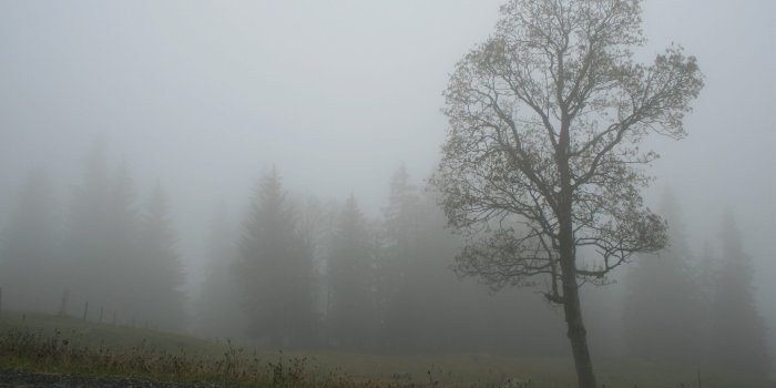 2560x1600 691 Fog HD Wallpapers | Background Images