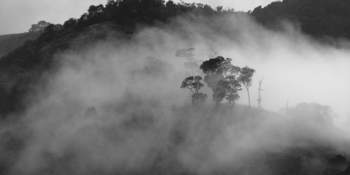 1920x1200 Fog HD Wallpaper, Background Images