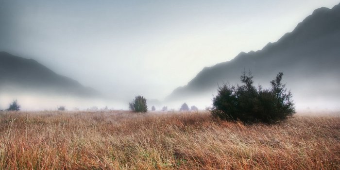 1920x1080 76+ Foggy Wallpapers on WallpaperPlay