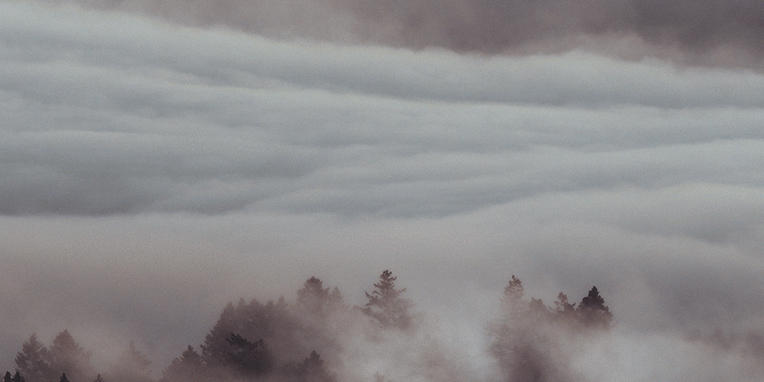 1125x2436 Fog Wallpaper for iPhone X, 8, 7, 6 - Free Download on 3Wallpapers