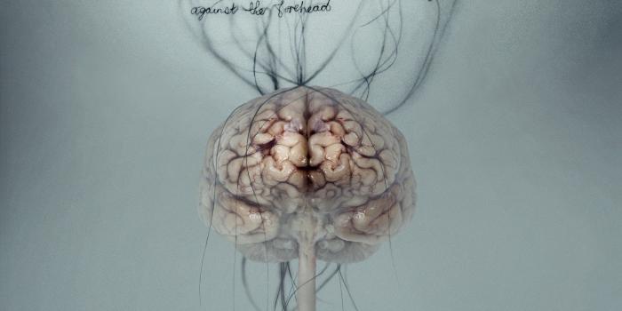 1995x1360 68+ Human Anatomy Wallpapers on WallpaperPlay