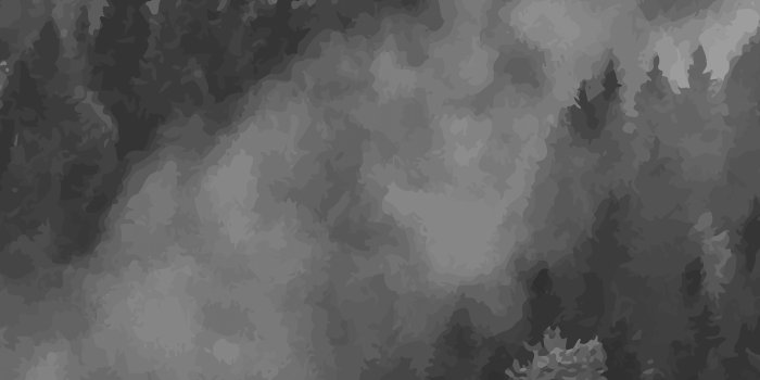 3600x3600 Fog Forest Wallpaper, Foggy Hills Mural | anewall – Anewall