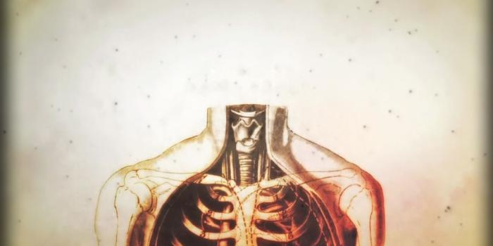 1680x1050 Artistic Anatomy Wallpaper More information 1680x1050