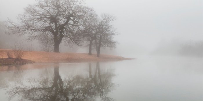 1920x1200 Free Fog wallpaper | 1920x1200 | #8340