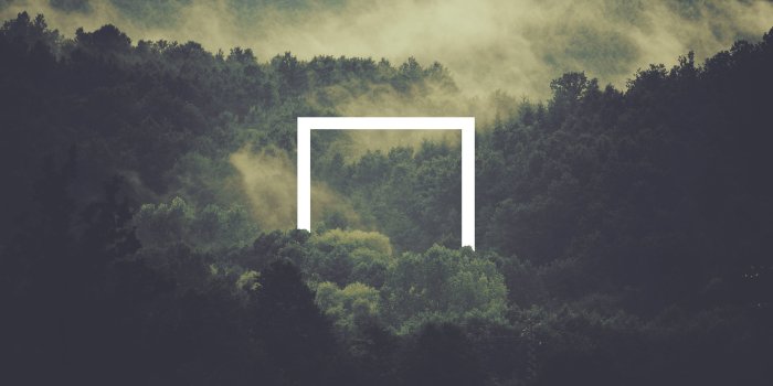 2880x1800 2880x1800] Foggy Forest Wallpaper - Album on Imgur