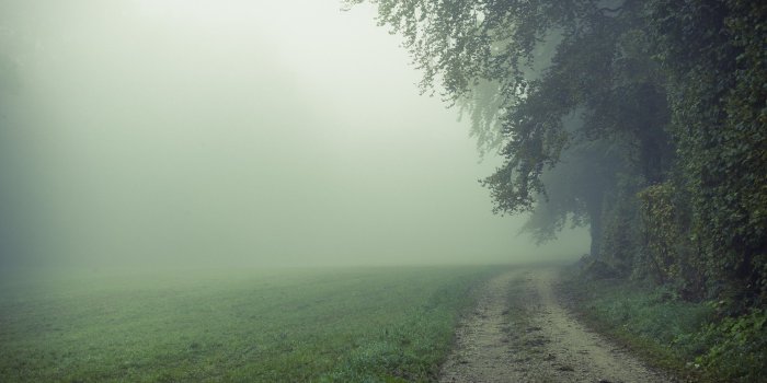 2560x1600 Fog Wallpapers 23 - [2560 x 1600]