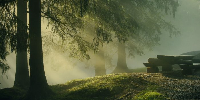 1920x1200 Fog HD Wallpaper, Background Images