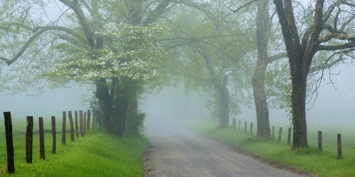 1920x1080 25 Excellent HD Fog Wallpapers