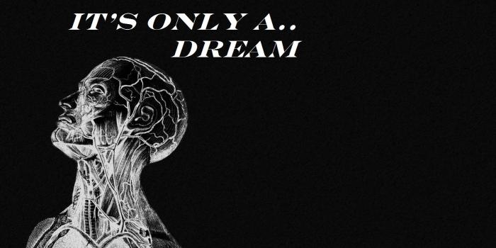 1680x1050 Free download Anatomy wallpaper ID:87088 hd 1680x1050 for PC