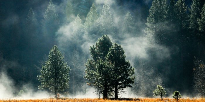 2560x1600 Pacific Northwest Fog Wallpapers - Top Free Pacific Northwest Fog