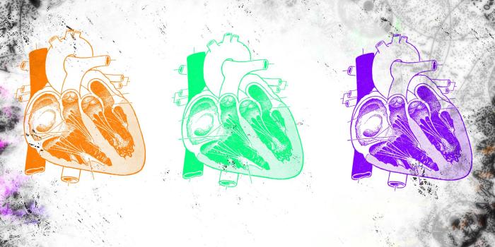 1920x1080 anatomy, Hearts Wallpapers HD / Desktop and Mobile Backgrounds